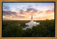 Load image into Gallery viewer, Houston from on High
