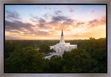 Load image into Gallery viewer, Houston from on High
