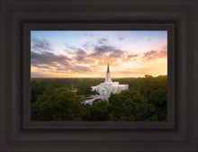 Load image into Gallery viewer, Houston from on High
