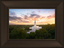 Load image into Gallery viewer, Houston from on High
