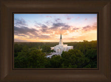 Load image into Gallery viewer, Houston from on High
