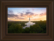 Load image into Gallery viewer, Houston from on High
