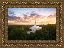 Load image into Gallery viewer, Houston from on High
