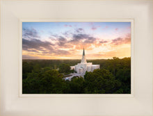 Load image into Gallery viewer, Houston from on High
