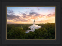 Load image into Gallery viewer, Houston from on High
