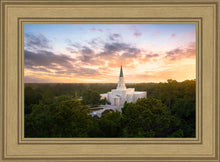 Load image into Gallery viewer, Houston from on High
