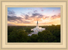 Load image into Gallery viewer, Houston from on High
