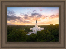 Load image into Gallery viewer, Houston from on High
