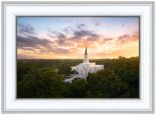 Load image into Gallery viewer, Houston from on High
