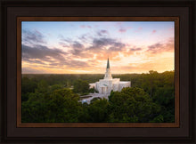 Load image into Gallery viewer, Houston from on High
