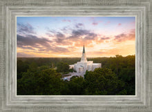 Load image into Gallery viewer, Houston from on High

