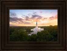 Load image into Gallery viewer, Houston from on High

