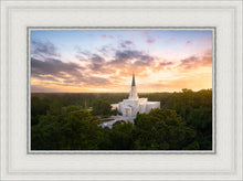 Load image into Gallery viewer, Houston from on High
