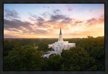 Load image into Gallery viewer, Houston from on High
