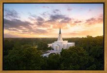 Load image into Gallery viewer, Houston from on High
