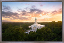 Load image into Gallery viewer, Houston from on High
