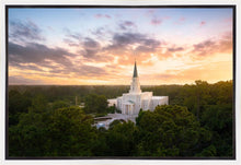 Load image into Gallery viewer, Houston from on High

