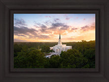 Load image into Gallery viewer, Houston from on High
