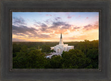 Load image into Gallery viewer, Houston from on High
