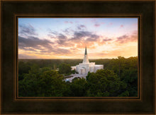 Load image into Gallery viewer, Houston from on High

