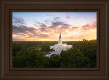 Load image into Gallery viewer, Houston from on High
