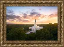 Load image into Gallery viewer, Houston from on High
