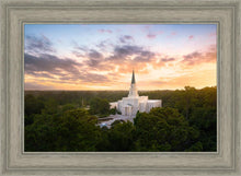 Load image into Gallery viewer, Houston from on High
