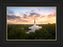 Load image into Gallery viewer, Houston from on High
