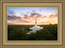 Load image into Gallery viewer, Houston from on High
