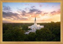 Load image into Gallery viewer, Houston from on High
