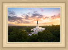 Load image into Gallery viewer, Houston from on High
