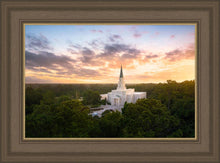 Load image into Gallery viewer, Houston from on High

