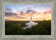 Load image into Gallery viewer, Houston from on High
