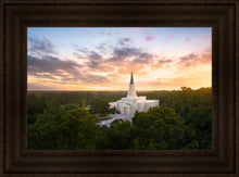 Load image into Gallery viewer, Houston from on High
