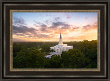 Load image into Gallery viewer, Houston from on High
