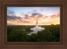 Load image into Gallery viewer, Houston from on High
