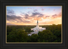 Load image into Gallery viewer, Houston from on High
