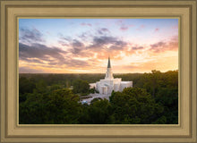 Load image into Gallery viewer, Houston from on High
