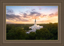 Load image into Gallery viewer, Houston from on High
