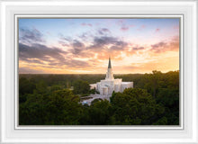 Load image into Gallery viewer, Houston from on High
