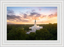 Load image into Gallery viewer, Houston from on High
