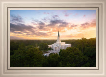 Load image into Gallery viewer, Houston from on High
