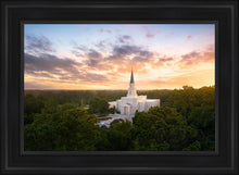 Load image into Gallery viewer, Houston from on High
