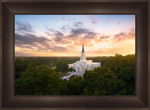 Load image into Gallery viewer, Houston from on High
