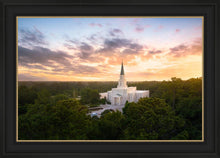 Load image into Gallery viewer, Houston from on High
