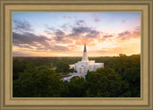 Load image into Gallery viewer, Houston from on High
