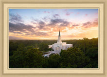 Load image into Gallery viewer, Houston from on High
