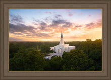 Load image into Gallery viewer, Houston from on High
