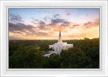 Load image into Gallery viewer, Houston from on High
