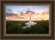 Load image into Gallery viewer, Houston from on High
